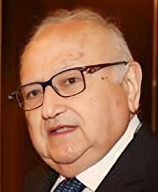 محمد يوسف بيضون