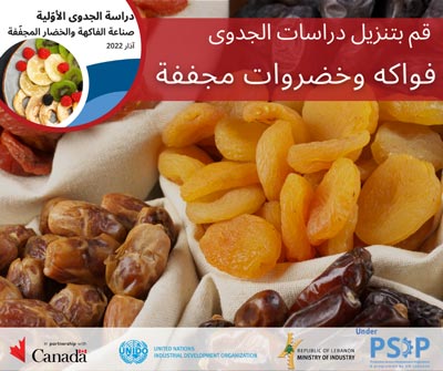 فواكه وخضروات مجففة