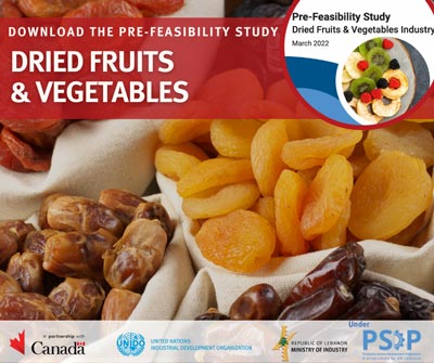 Dried fruits and vegetables