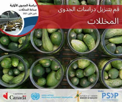 المخللات
